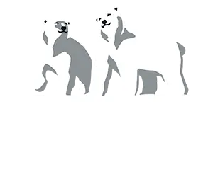Polar Ice Vodka - Trust Your Spirit. Polar Ice Logo for the Polar Ice Vodka Footer.